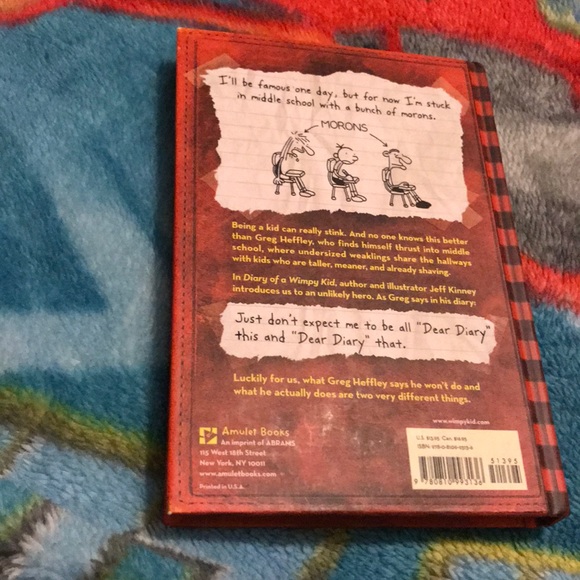 Diary of a wimpy kid book - Picture 2 of 3